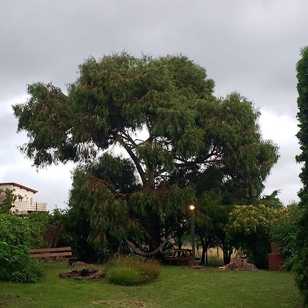 Casa Bordó, B&B Tandil Kültér fotó